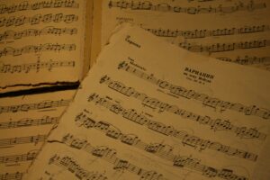 Avis musescore